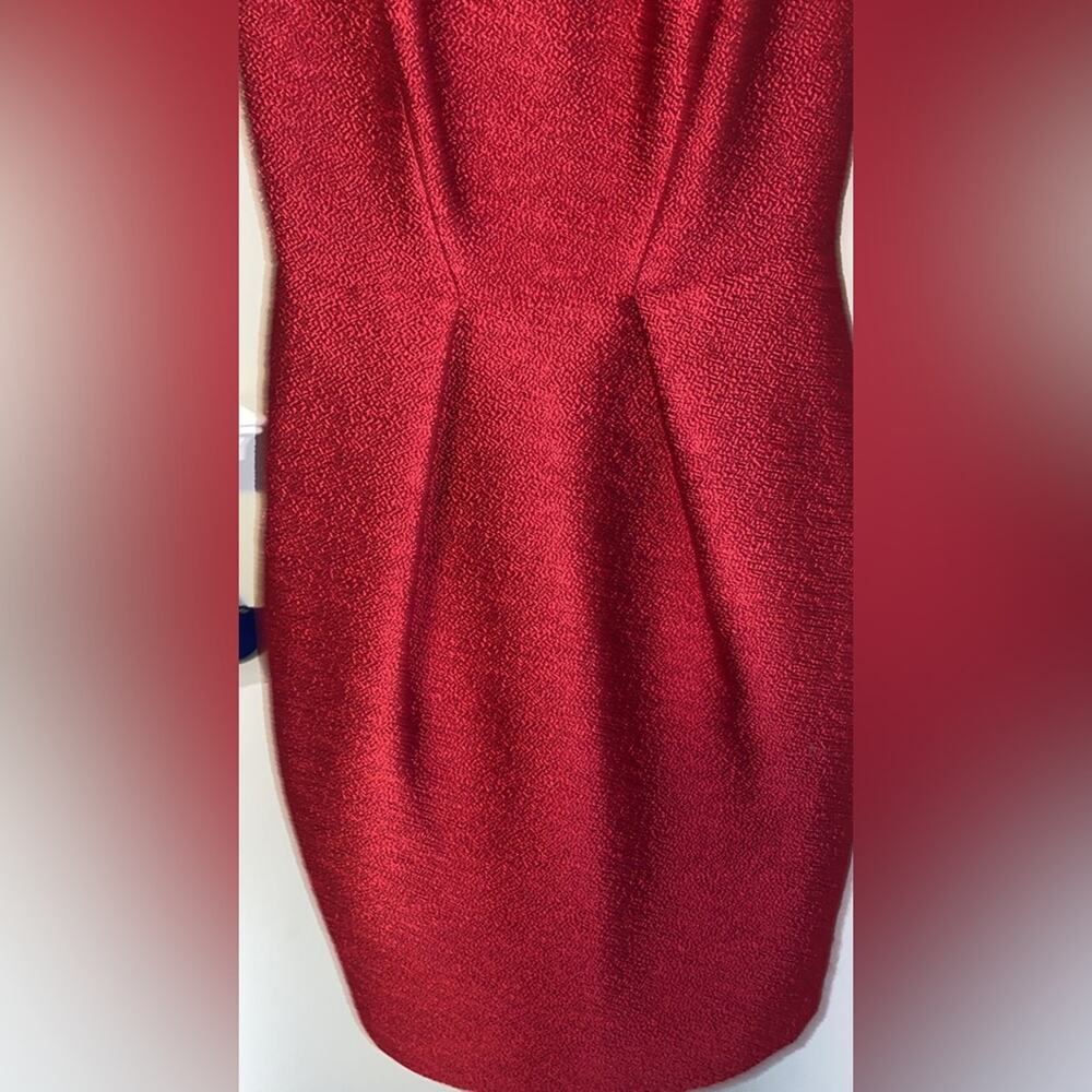 Carmen Marc Valvo Ruby Dress - Picture 6 of 12